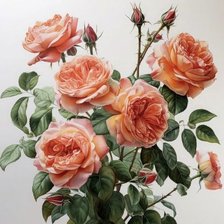 Схема вышивки «№2665207»