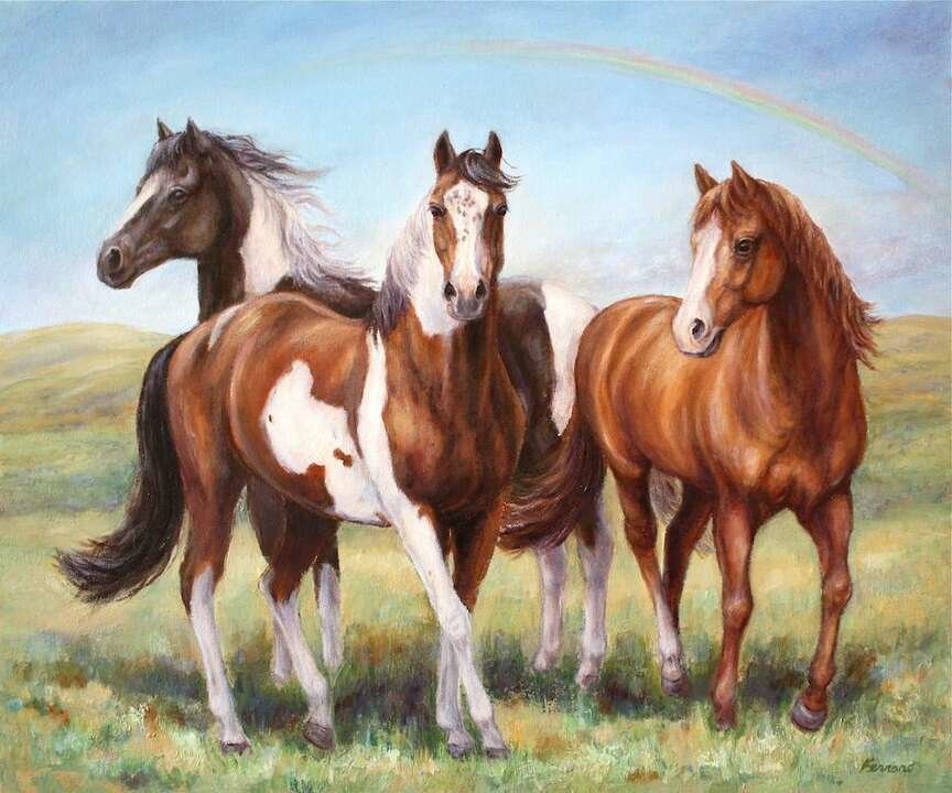 №2665225 - кони, животные - оригинал