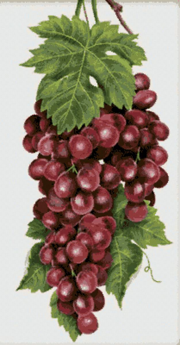 №2665254 - предпросмотр