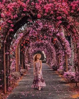 №2665266 - райский сад - оригинал