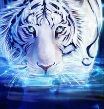 Схема вышивки «№2665372»