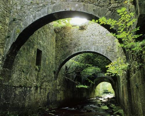 Арка - подземный ручей, деревья, арка, древность - оригинал