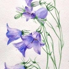 вставка колокольчики