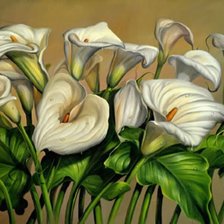 Схема вышивки «подушка каллы»