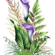 Схема вышивки «каллы»