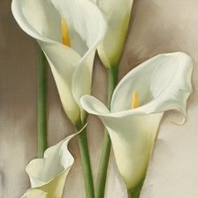 Схема вышивки «вставка каллы»