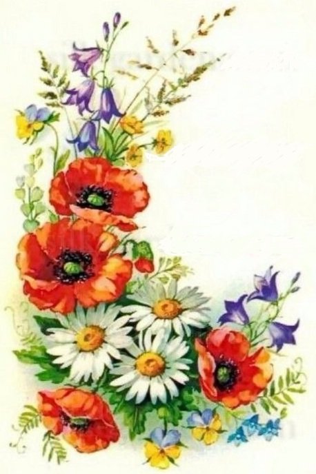 маки - оригинал