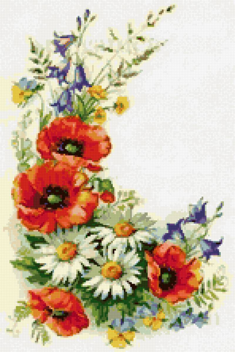 маки - предпросмотр