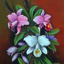 Схема вышивки «орхидеи»