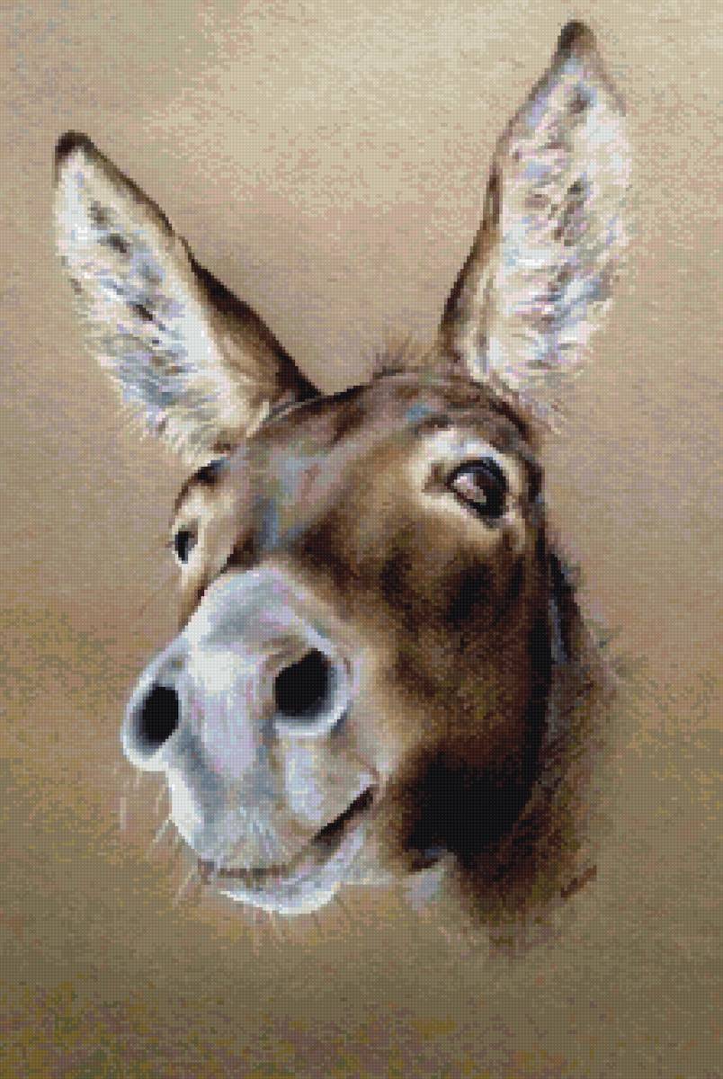 ослик - предпросмотр