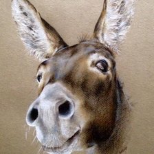 Схема вышивки «ослик»