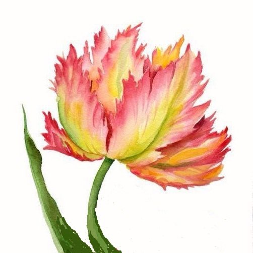 тюльпан 2 - оригинал