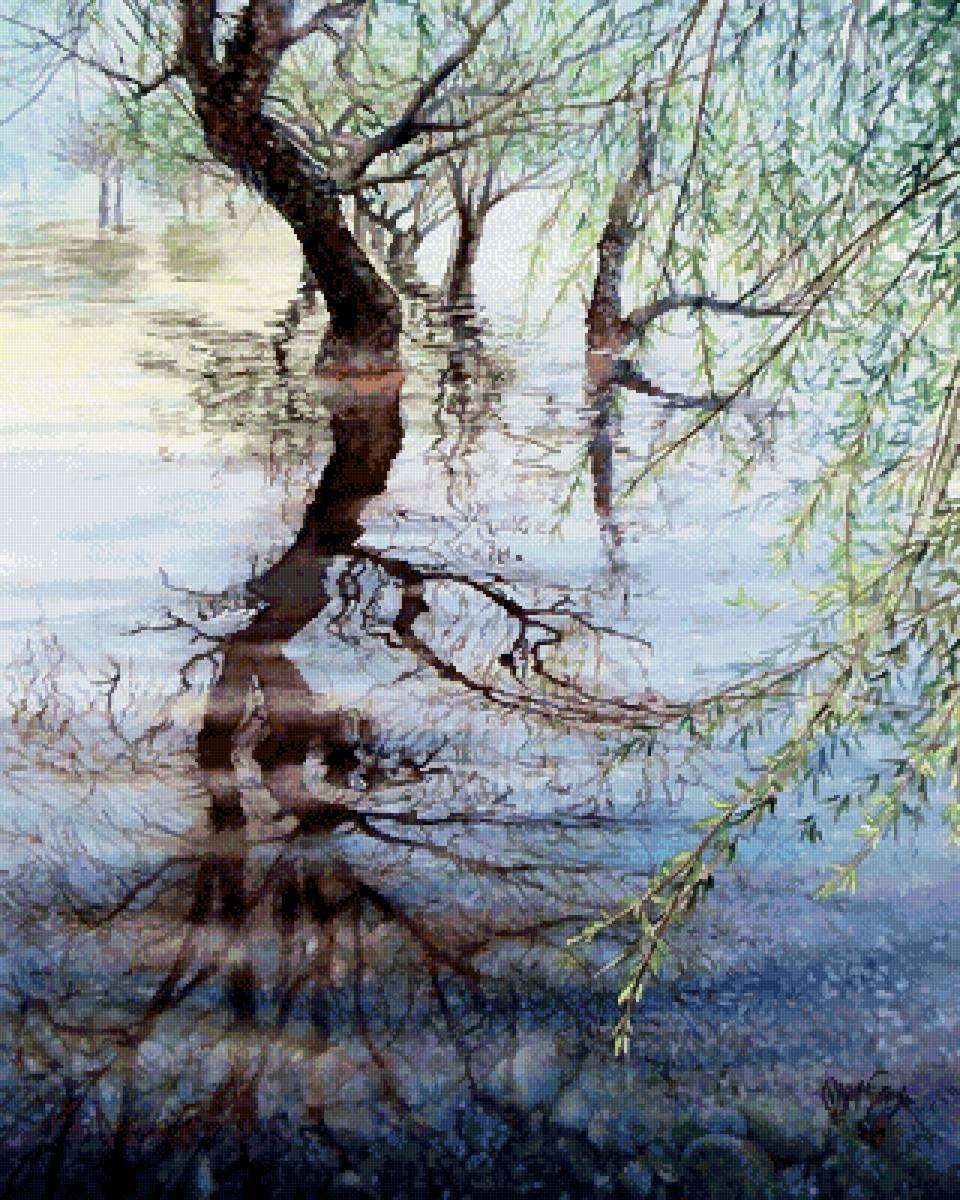 Отражение весны - ива, вешние воды, отражение - предпросмотр