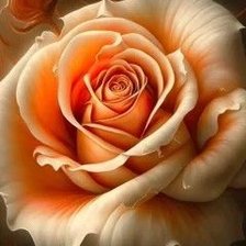 Схема вышивки «№2666248»