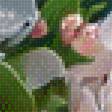 Предпросмотр схемы вышивки «anh đào đêm» (№2666728)
