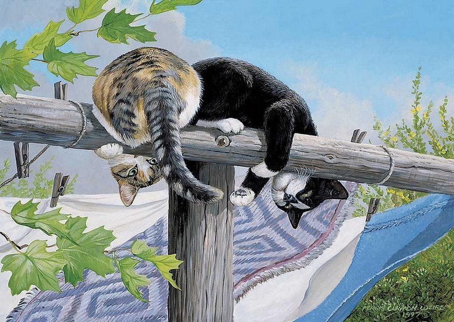 №2666854 - шалуны, коты, кошки - оригинал