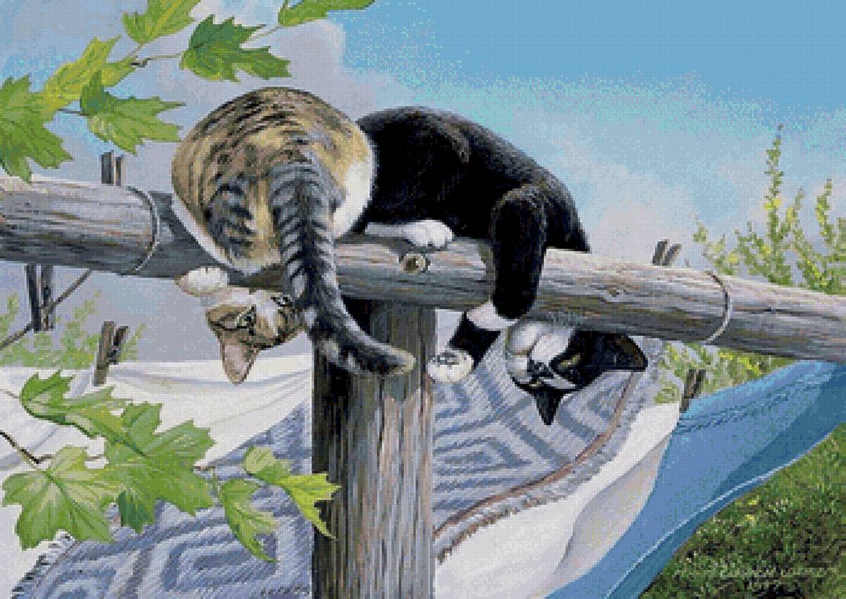 №2666854 - кошки, коты, шалуны - предпросмотр