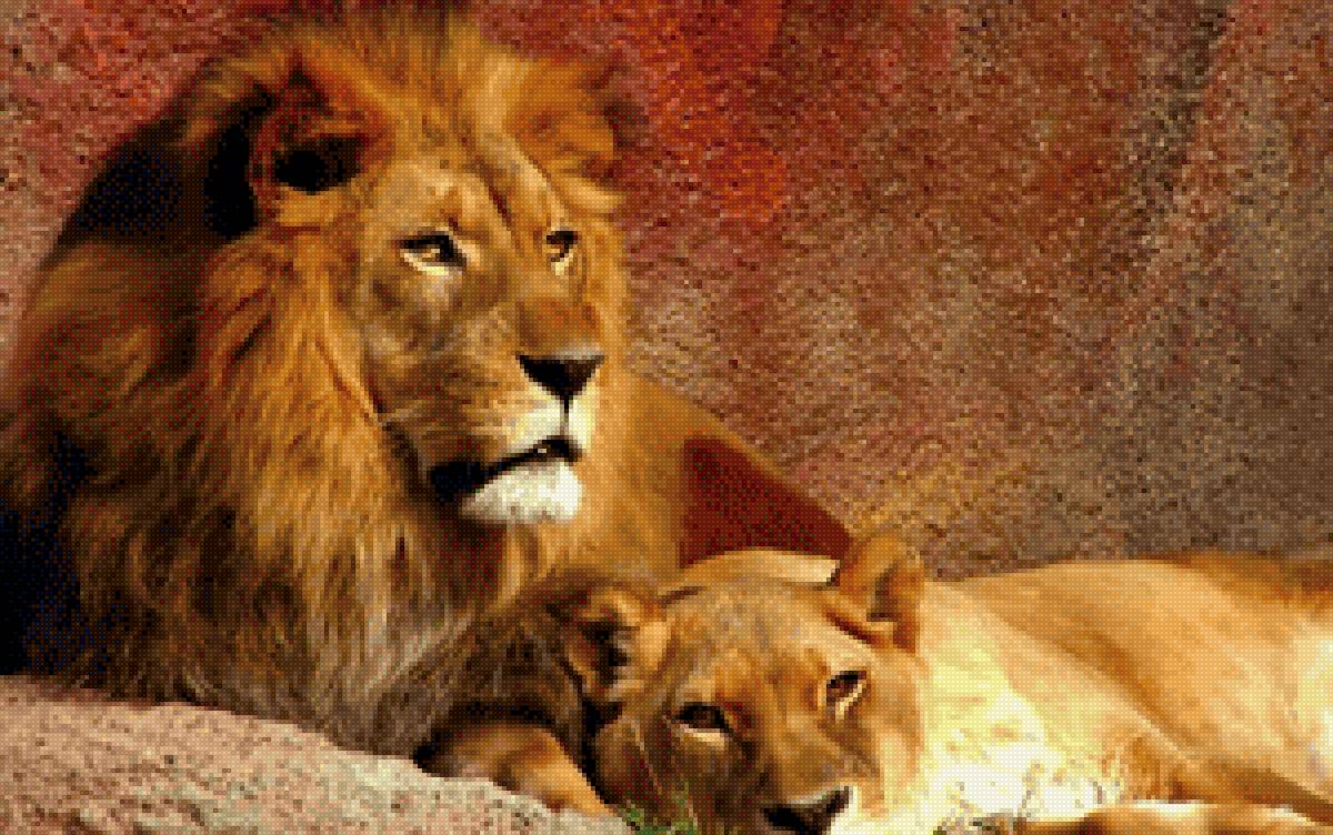 Идиллия - животные - предпросмотр