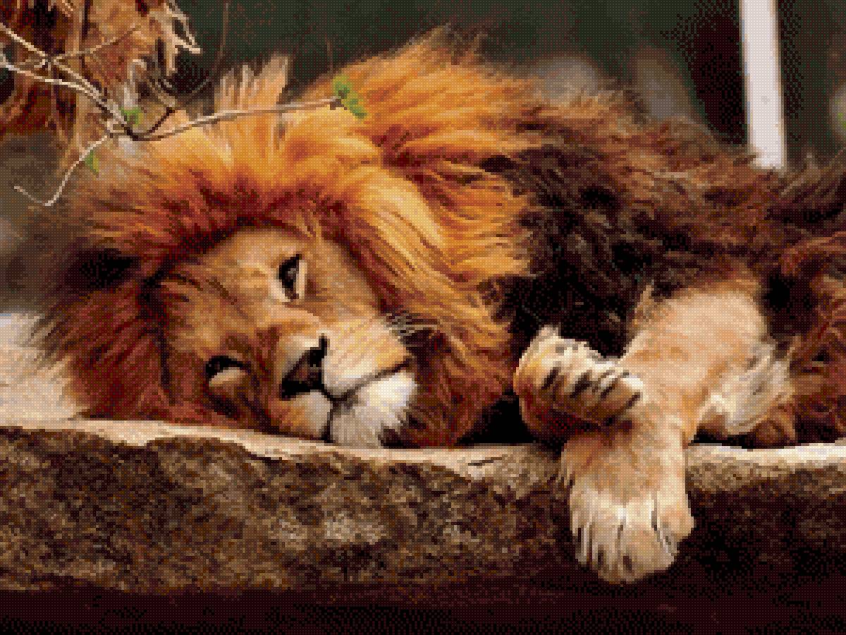 На отдыхе - животные - предпросмотр