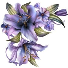 Схема вышивки «подушка лилия»