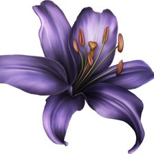 Схема вышивки «подушка лилия 2»