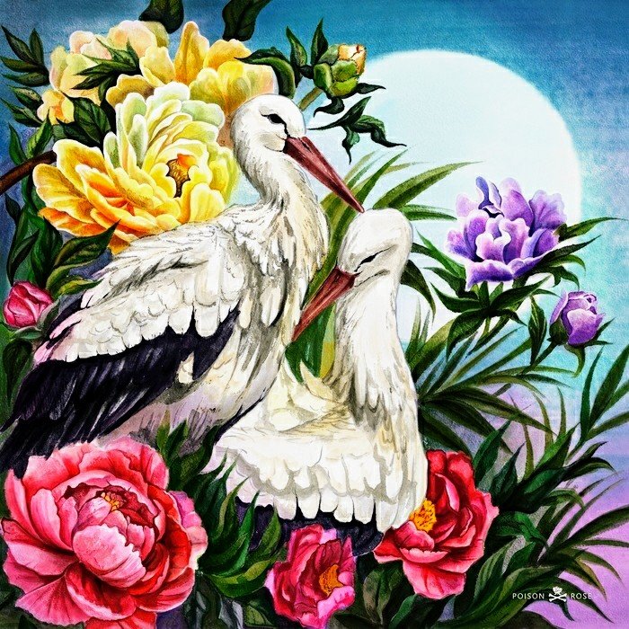 №2667262 - аисты, птицы - оригинал