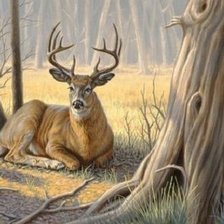 Схема вышивки «№2667699»