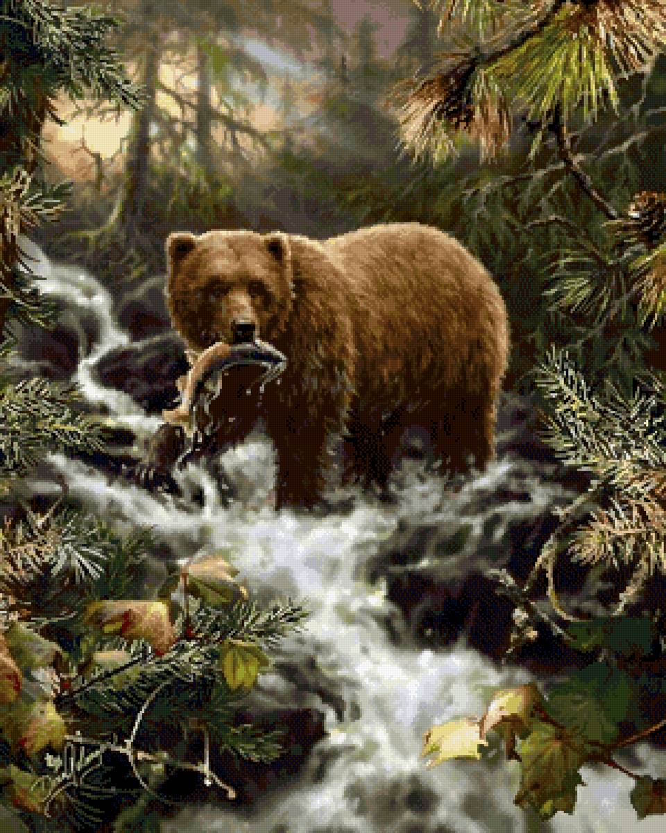 рыбалка - медведь рыбалка - предпросмотр