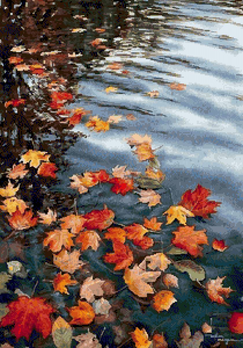 Осенние листья - вода, листья - предпросмотр