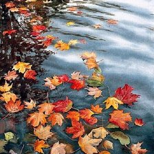 Схема вышивки «Осенние листья»