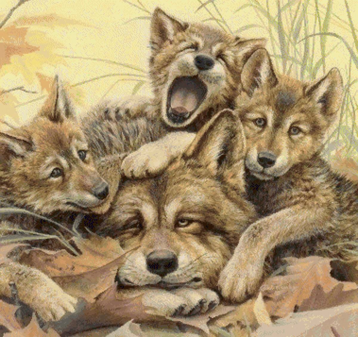 усатый нянь - волк, волчата, хищники - предпросмотр