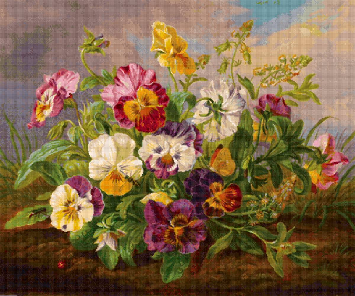 Анютины глазки - цветы - предпросмотр