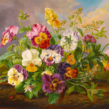 Анютины глазки