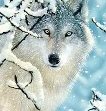 Схема вышивки «№2668901»