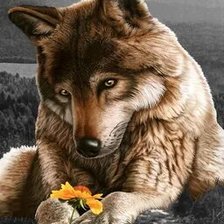 Схема вышивки «№2668955»