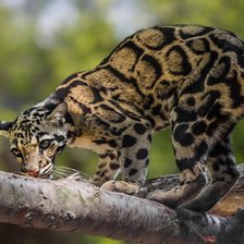 Схема вышивки «№2669117»