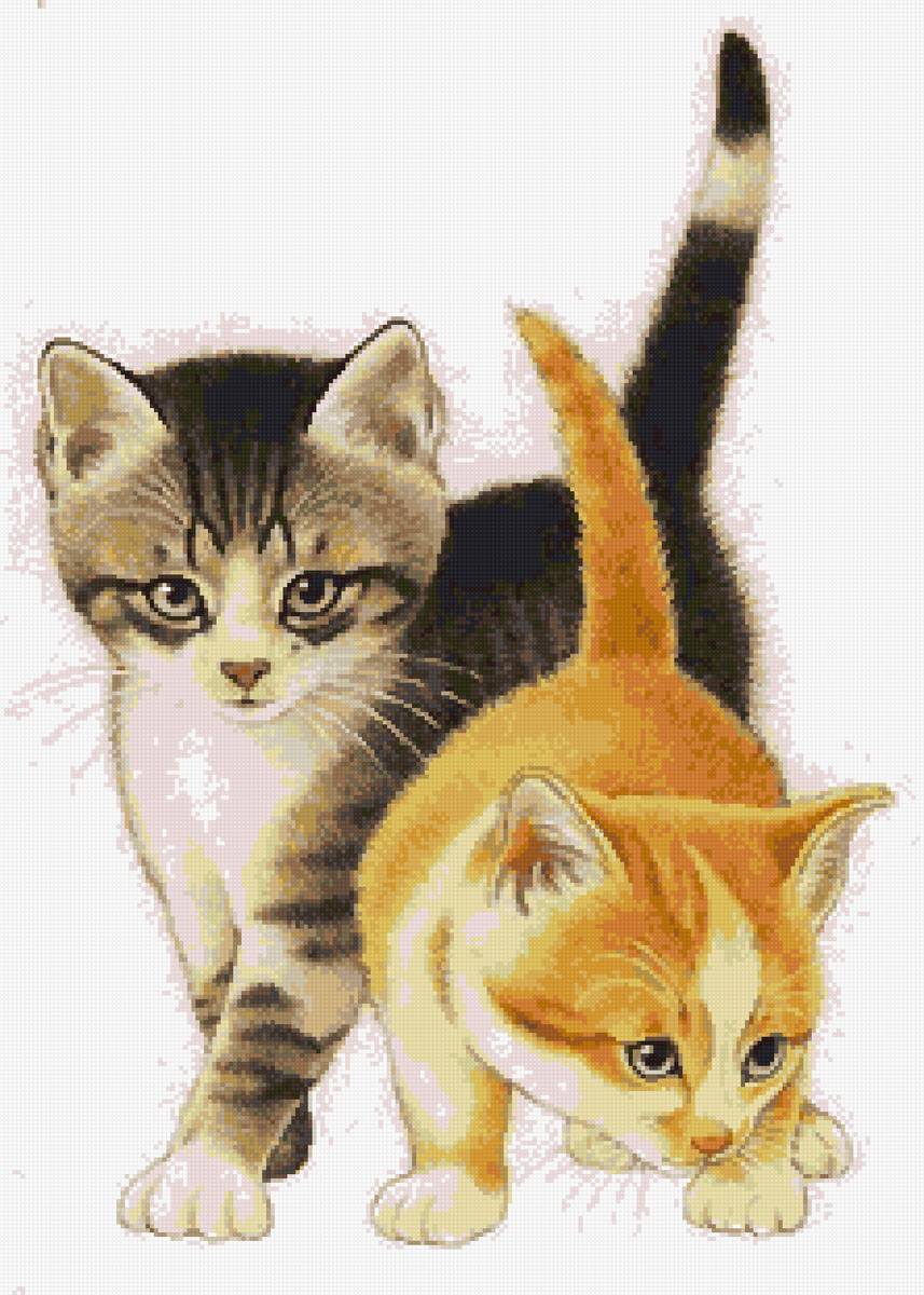 котики - предпросмотр