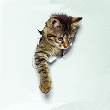 Схема вышивки «котик»