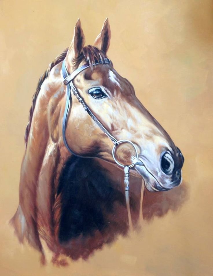 Лошадь. Бруно Тина Августо - художники - оригинал
