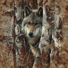 Схема вышивки «Волк. Коллин Богл»