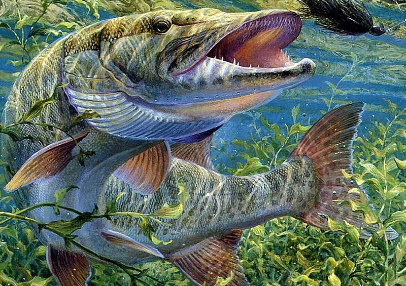 щука - оригинал