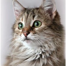 Схема вышивки «№2669572»