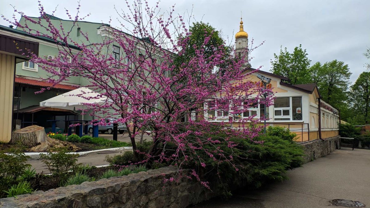 Покровский Монастырь, Харьков - харьков, церкви, божья обитель, покровский монастырь, храмы - оригинал