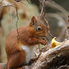 Схема вышивки «№2669703»