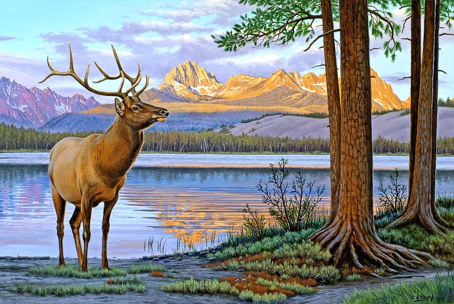 №2669975 - природа, олень - оригинал