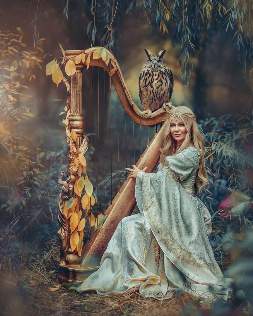 Музыка леса - арфа, девушка, лес, филин - оригинал