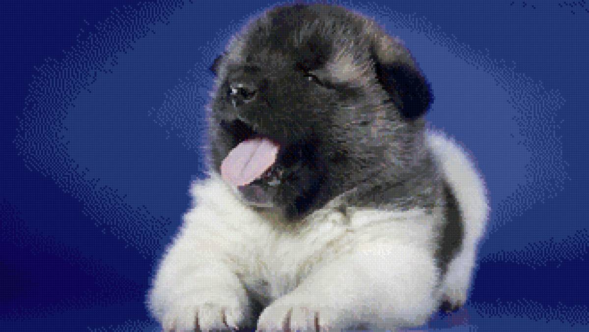 №2670007 - предпросмотр