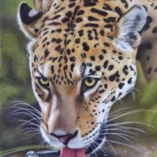 Схема вышивки «№2670021»