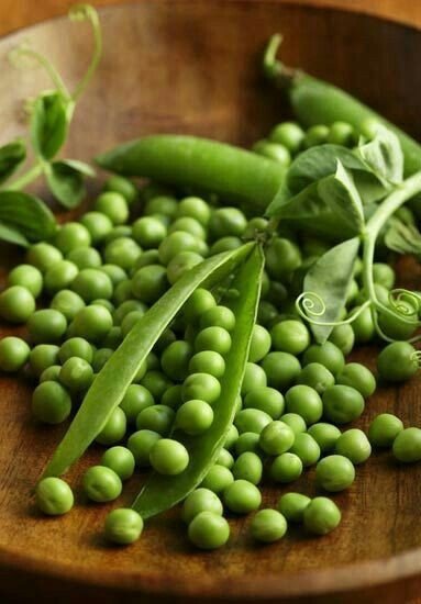 Горох. - пнк - оригинал