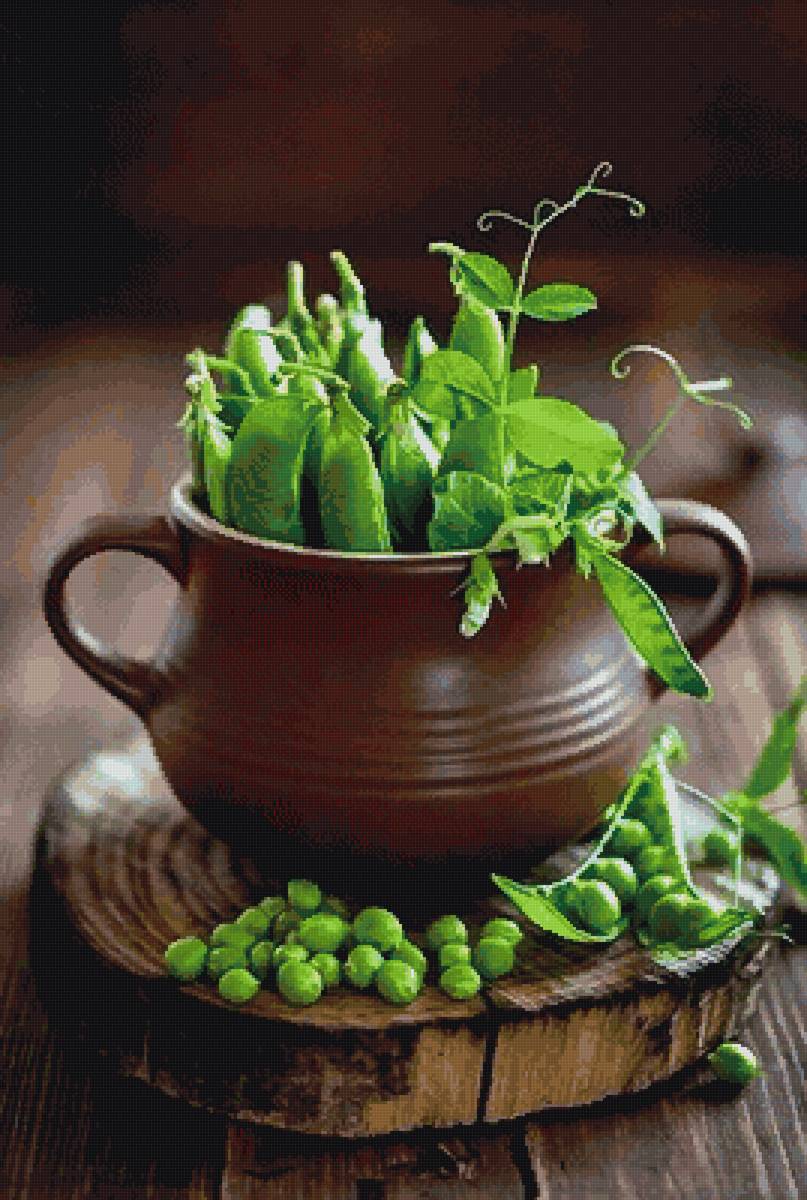 Горох. - пнк - предпросмотр